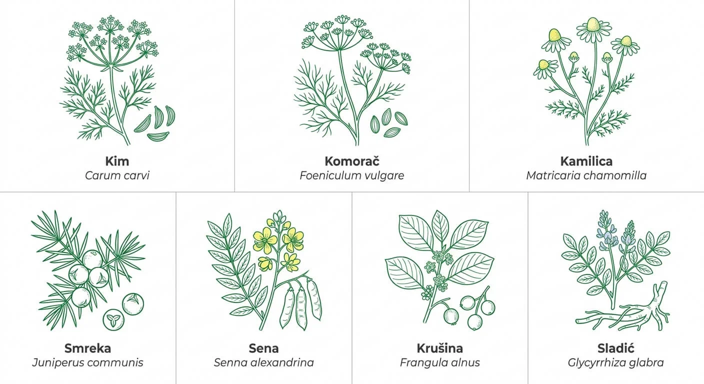 Go Slim – čaj za mršavljenje i čišćenje organizma 2 Go Slim caj sastojci — infografika 7 biljnih sastojaka